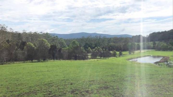 金球獎視帝PO澳洲野火「下雨後對比照」　綠色草原讓網友大感動：有生機了