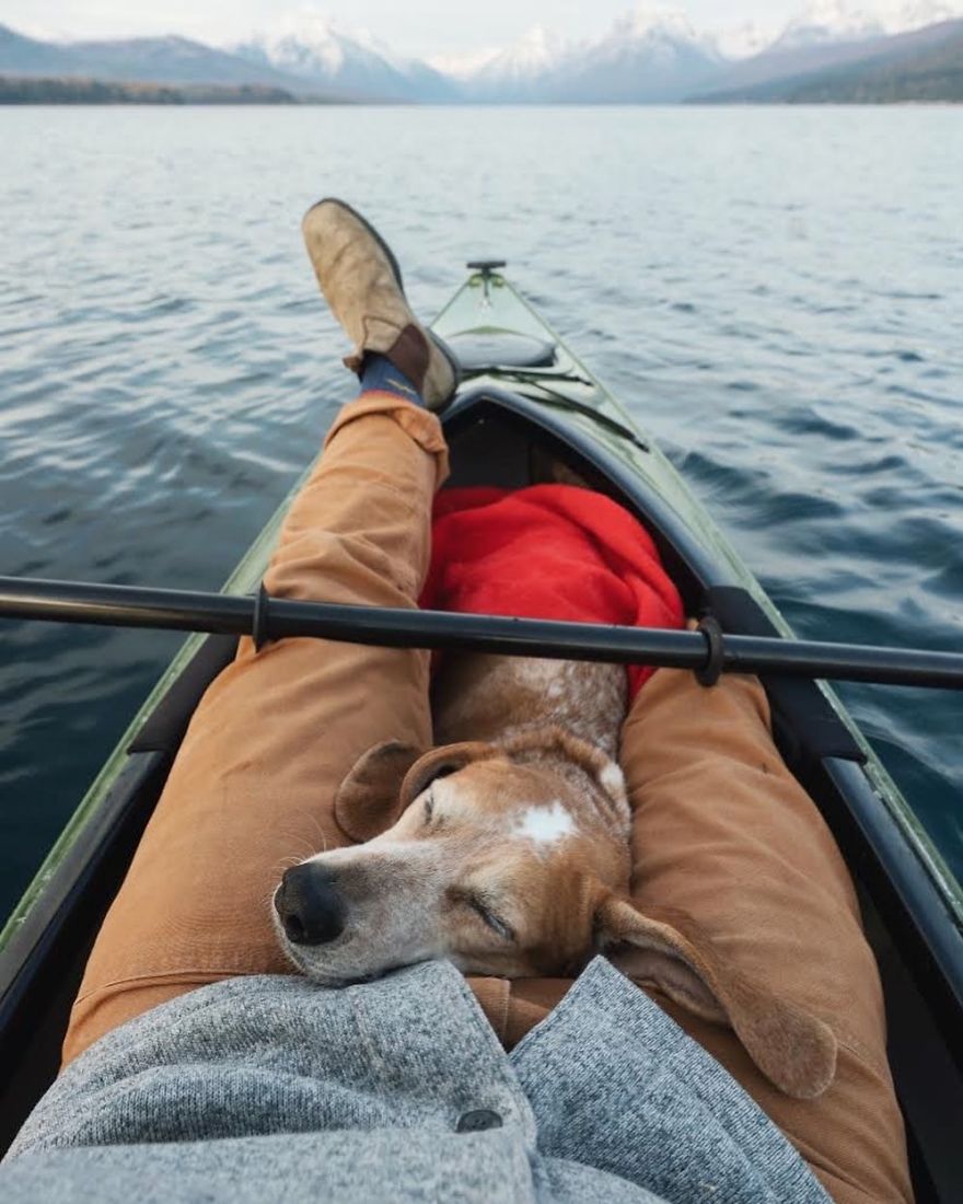 帶汪去旅行！　他拍下與狗狗的「療癒旅遊日常」：不管到哪裡，和你在一起就是幸福