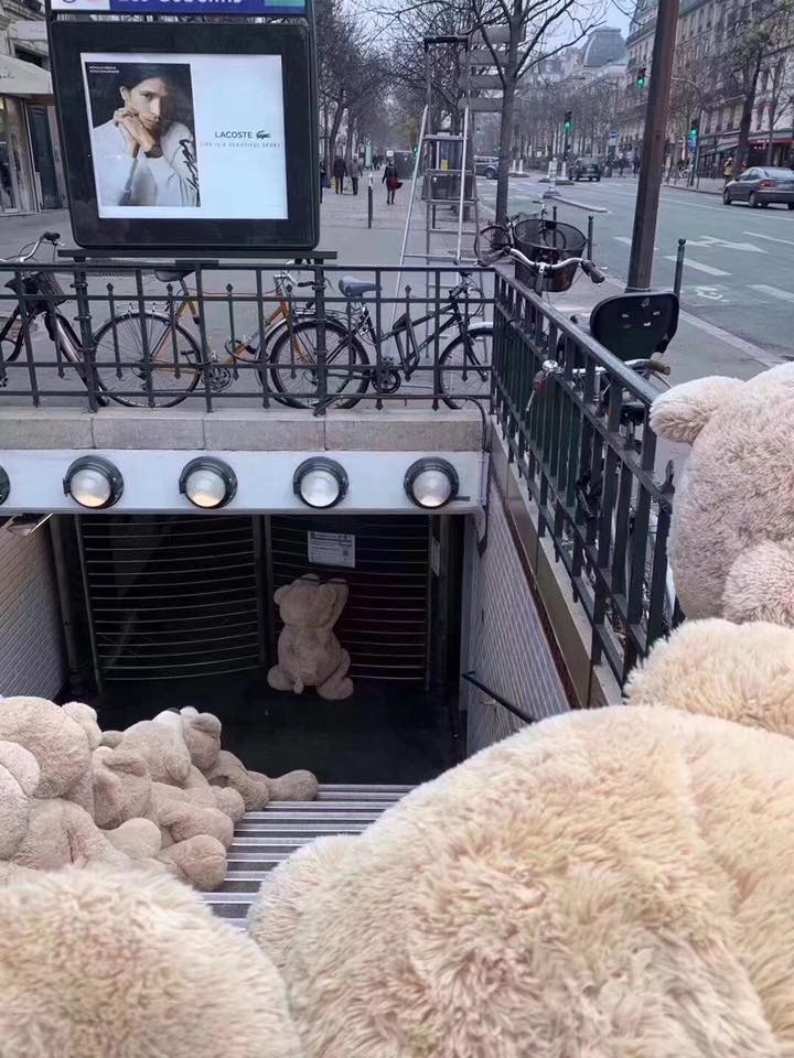 巴黎大罷工...地鐵湧現「巨量熊熊陣」　可愛畫面逗笑網友：它們也想參加？