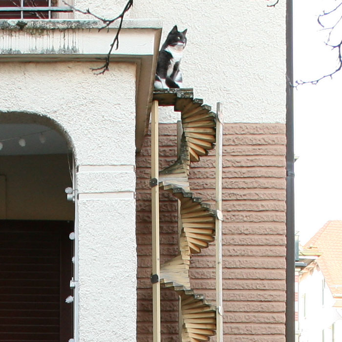 瑞士是喵星人的天堂～　居民在房子裝「貓咪專用道」方便牠們串門子