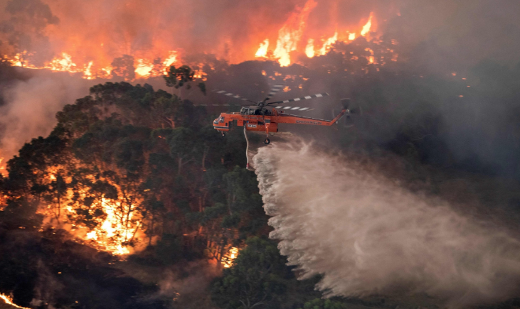 世界首富「捐2000萬」救澳洲大火　各國齊呼籲：一起救動物、助消防員