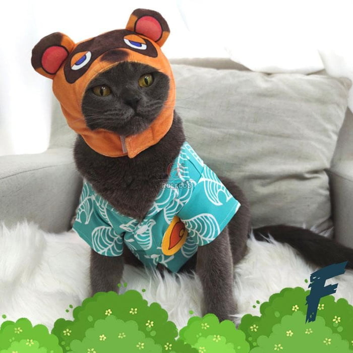 你家貓貓也能COS《動物森友會》了！　同款頭套、花襯衫「戴上秒變富豪貍克」