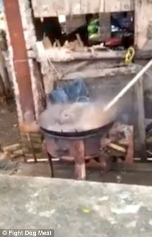 中國村民把「一隻活生生的狗狗丟進大鍋裡煮」，看熱鬧的人還可以哈哈大笑！（內有影片）