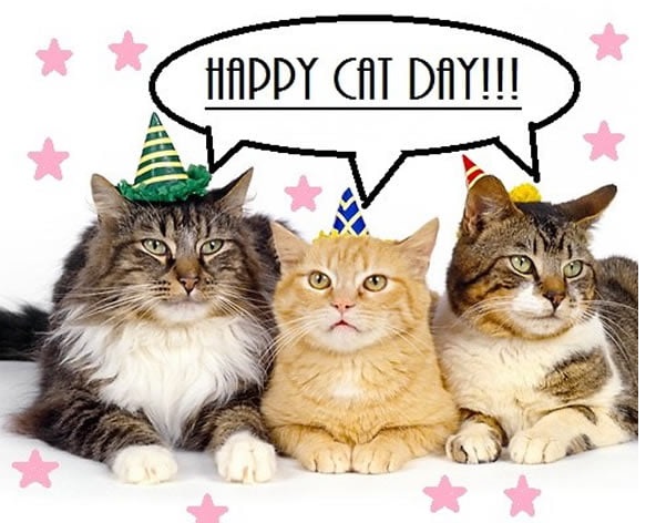 你知道日本有「國際貓節日」嗎？　當天「貓咪最大」慶祝方式超好玩
