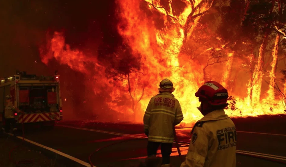 世界首富「捐2000萬」救澳洲大火　各國齊呼籲：一起救動物、助消防員