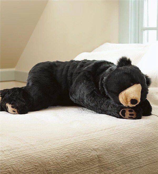 保證沒人敢叫你起床！　超霸氣「黑熊睡袋」讓你在冷冷的冬天睡好睡滿～