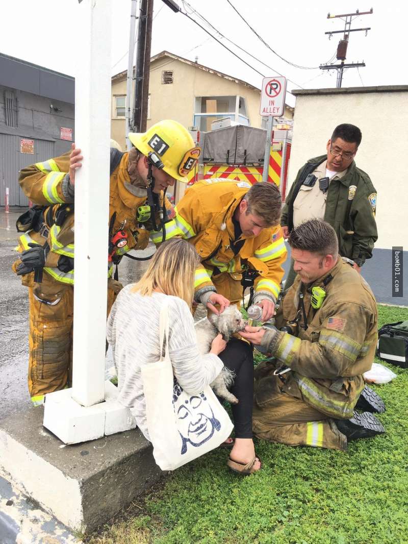 超帥消防員救出失去呼吸的狗狗後不打算放棄牠，當場就跪在地上一直幫牠做心肺復甦術 ！
