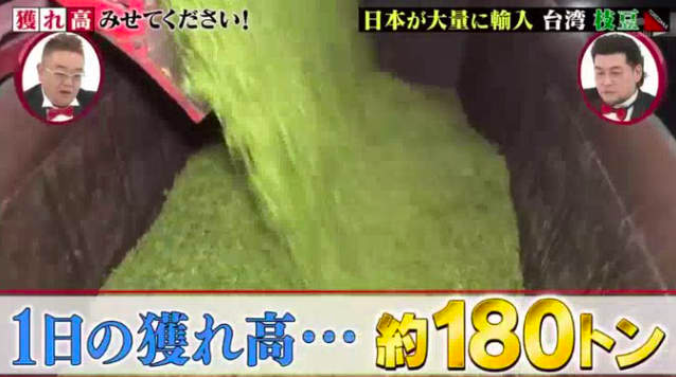 外銷傳奇！　日本居酒屋小菜「毛豆」幾乎來自於台灣　飽滿多汁成日本人最愛…一年消耗4萬噸