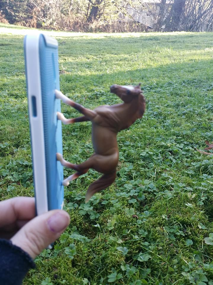 手機殼上黏塑膠馬玩具　女子拍照才發現問題：馬頭一直亂入欸