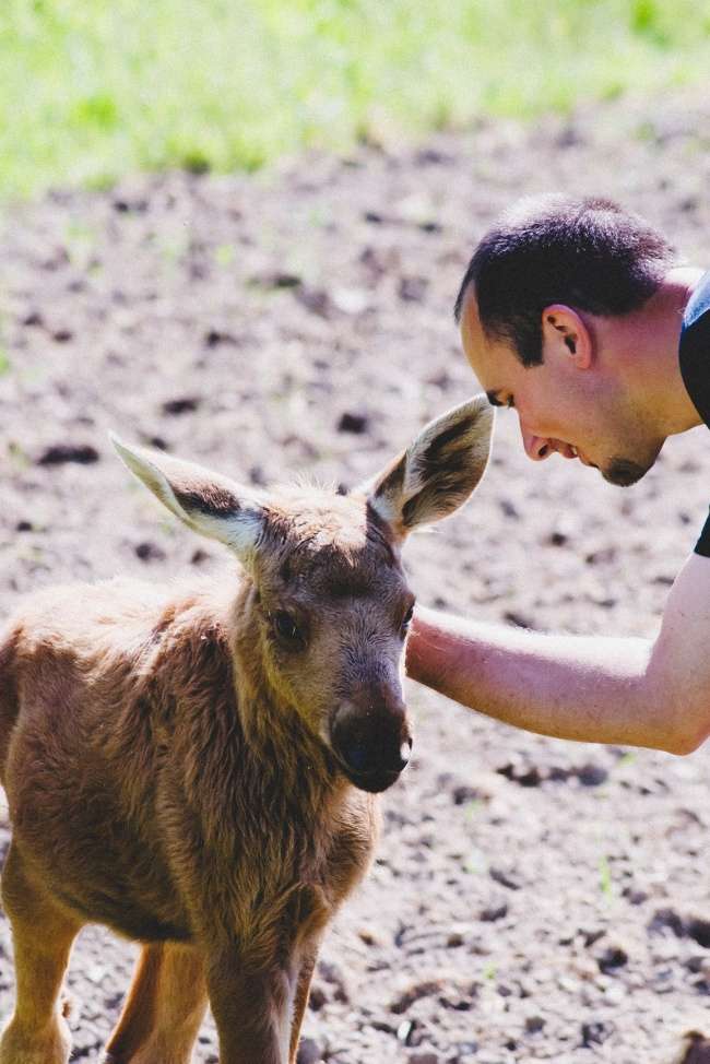 你救了動物，牠們都懂！　13張證明「動物會感恩」的超暖心道謝照片