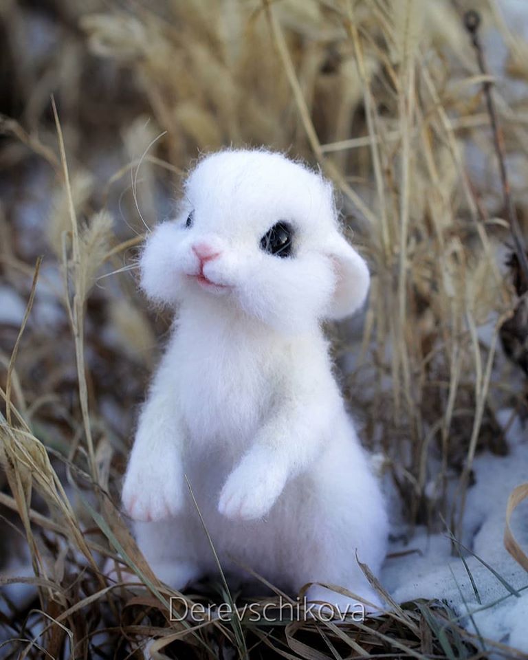 有呼吸？超逼真「羊毛氈小動物」像活的　藝術家：每隻花20個小時製作