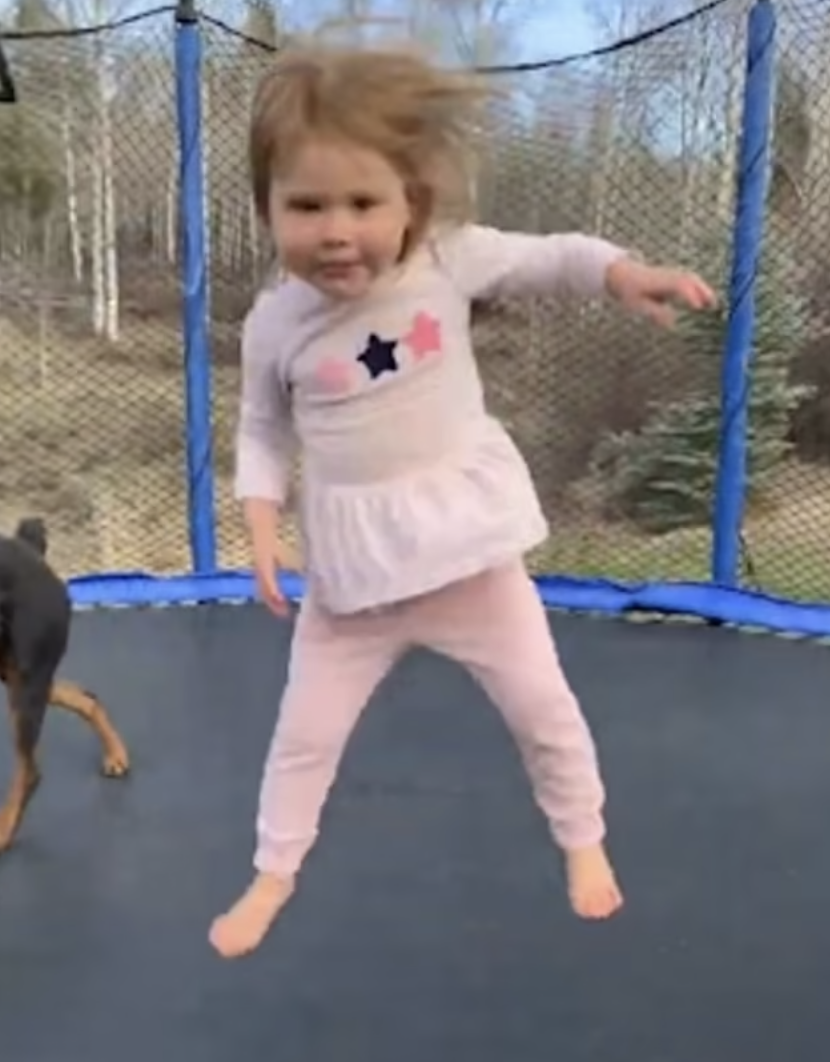 就像養了2個小孩！3歲女娃和狗狗「瘋玩跳跳床」　互動讓大家笑了：最純粹的快樂