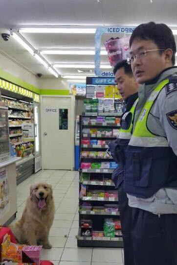 警察接到警報急奔超商　一到場…土匪金萌笑：偶來搶罐罐^^