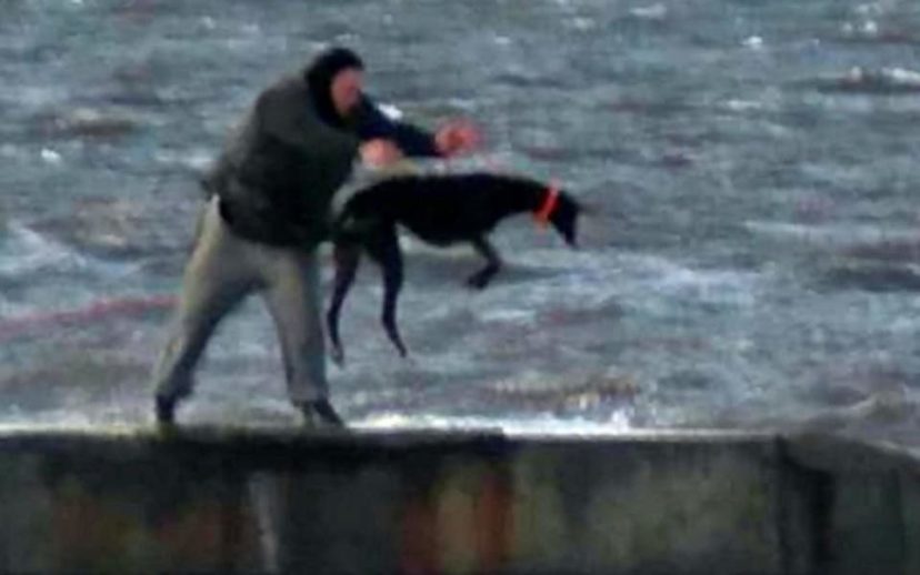 他目擊「超殘忍飼主一隻接一隻把狗狗拋進寒冷的大海」，把受驚的狗狗拉回來後…又再拋一次！