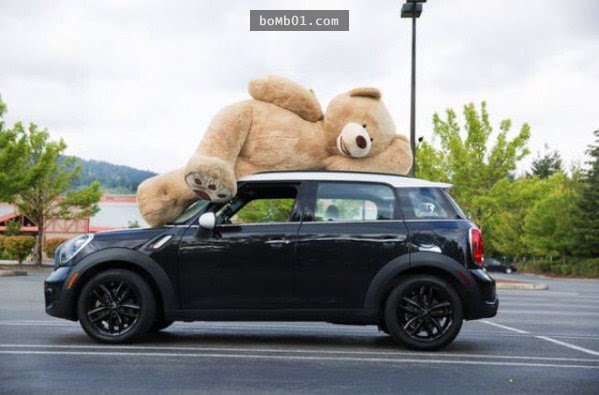 大賣場販售高達236公分的「巨無霸泰迪熊」，每個顧客看到的反應就是馬上衝過去抱緊！
