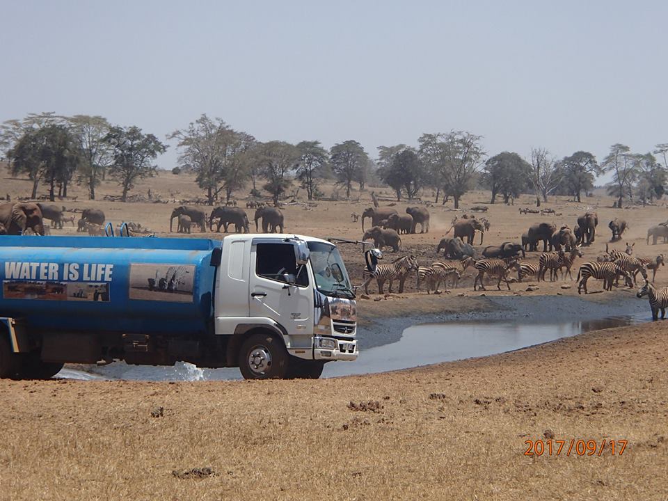 「非洲暖男」天天開水車送到旱區　野生動物看到牠就知道有水來了