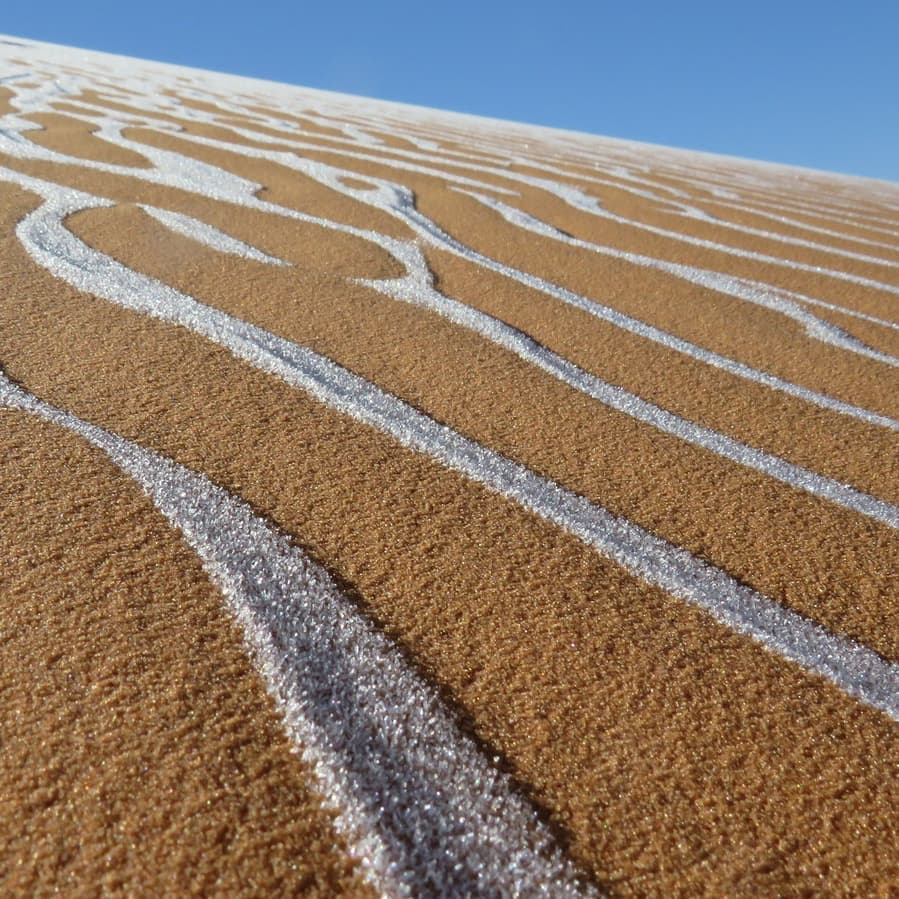 撒哈拉沙漠下雪了！罕見降雪形成神秘線條　駱駝滿臉困惑：這是什麼？