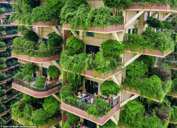 設計滿滿綠植「垂直雨林社區」卻變鬼城　住戶曝魔幻原因：吸引太多蚊子