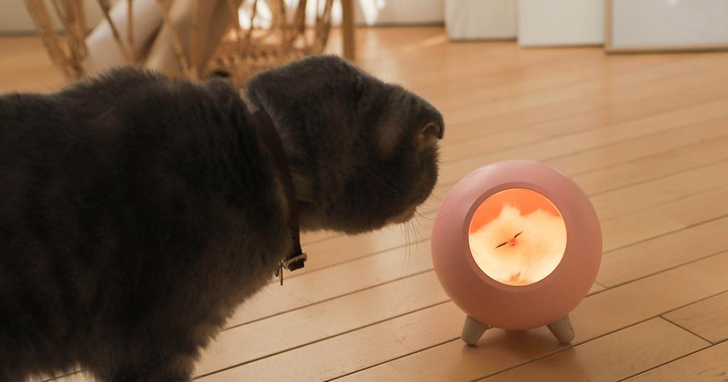 沒養貓也能有貓陪！萌力滿點的「小奶喵睡覺夜燈」　溫柔小貓拿出來也太Q～❤