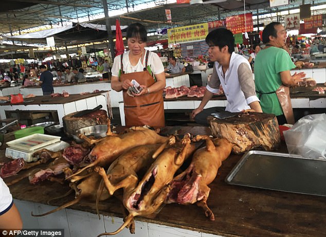 玉林狗肉節攤販不顧違法「如期營業販賣狗肉」，一具具狗屍體讓大家都不忍直視！（圖片令人不安）