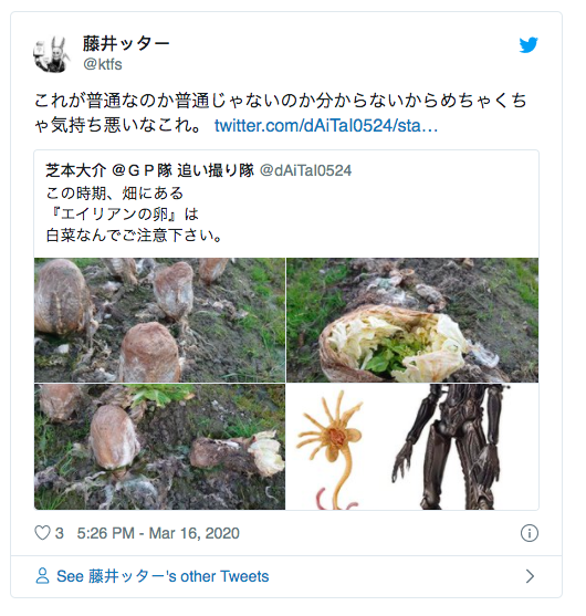 外星人要孵化了？！　日本農田「整片異形蛋」超嚇人　務農網友淡定解答：大家都吃過～