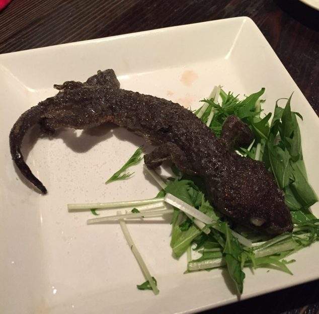 這間日本人氣店家提供「鱷魚腳、炸蟑螂」等獵奇料理，看到他們連「六角恐龍」都能入菜後我已經腿軟了…