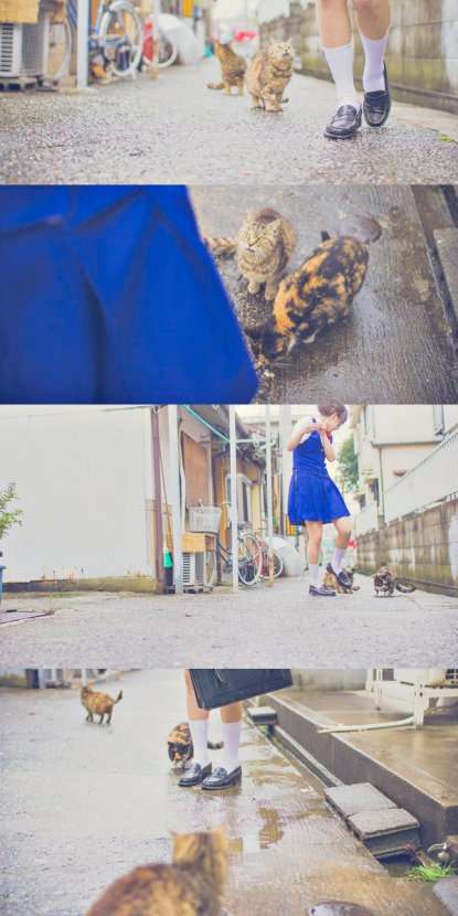 日本網友上傳「拍不到第二次的照片」　完全沒有PS過的感動讓人讚嘆