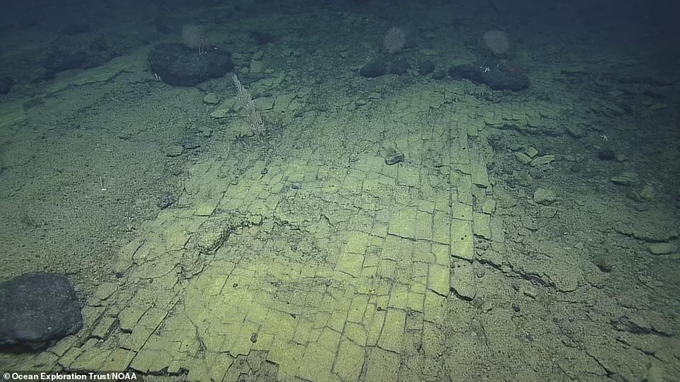 誰鋪的？夏威夷海底驚現「整齊黃磚路」　科學家驚：是通往亞特蘭提斯的！