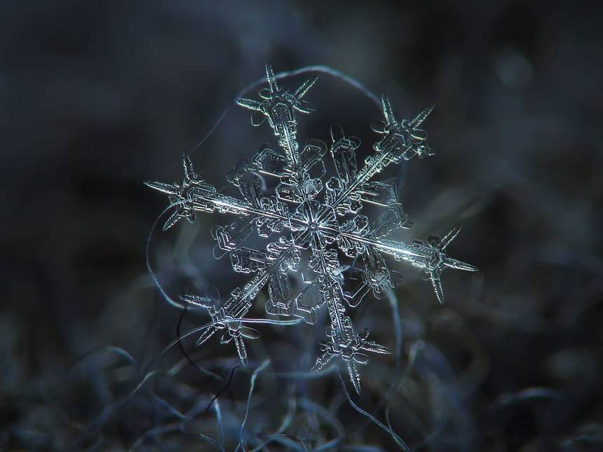 花8年時間拍到「冰雪奇緣」場景　國外攝影師公開「最美微距鏡頭作品集」