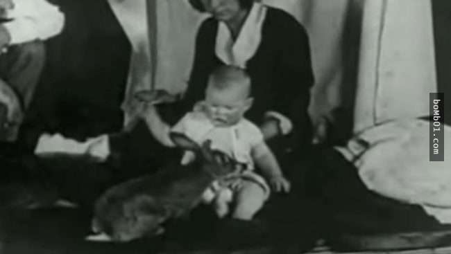 1歲男寶寶慘被心理學家當實驗品，摸一下老鼠就被敲一次鐵板…寶寶的一生就這樣毀了！