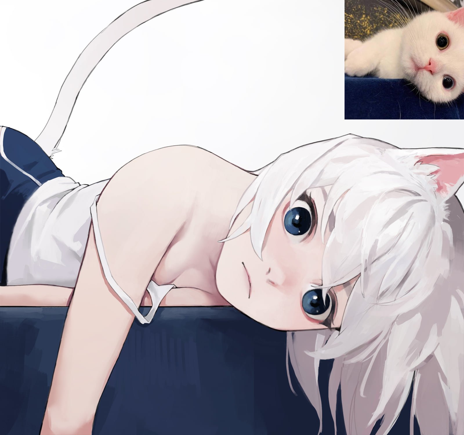 貓咪果然是美少女！　繪師創造「貓咪擬人化」：小白貓顏值超高～