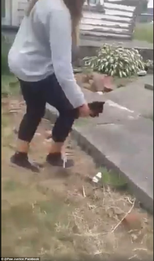 年輕女生拍下「用水泥塊虐待小貓咪」的可惡過程，旁邊的人還笑著教她如何殺死貓咪
