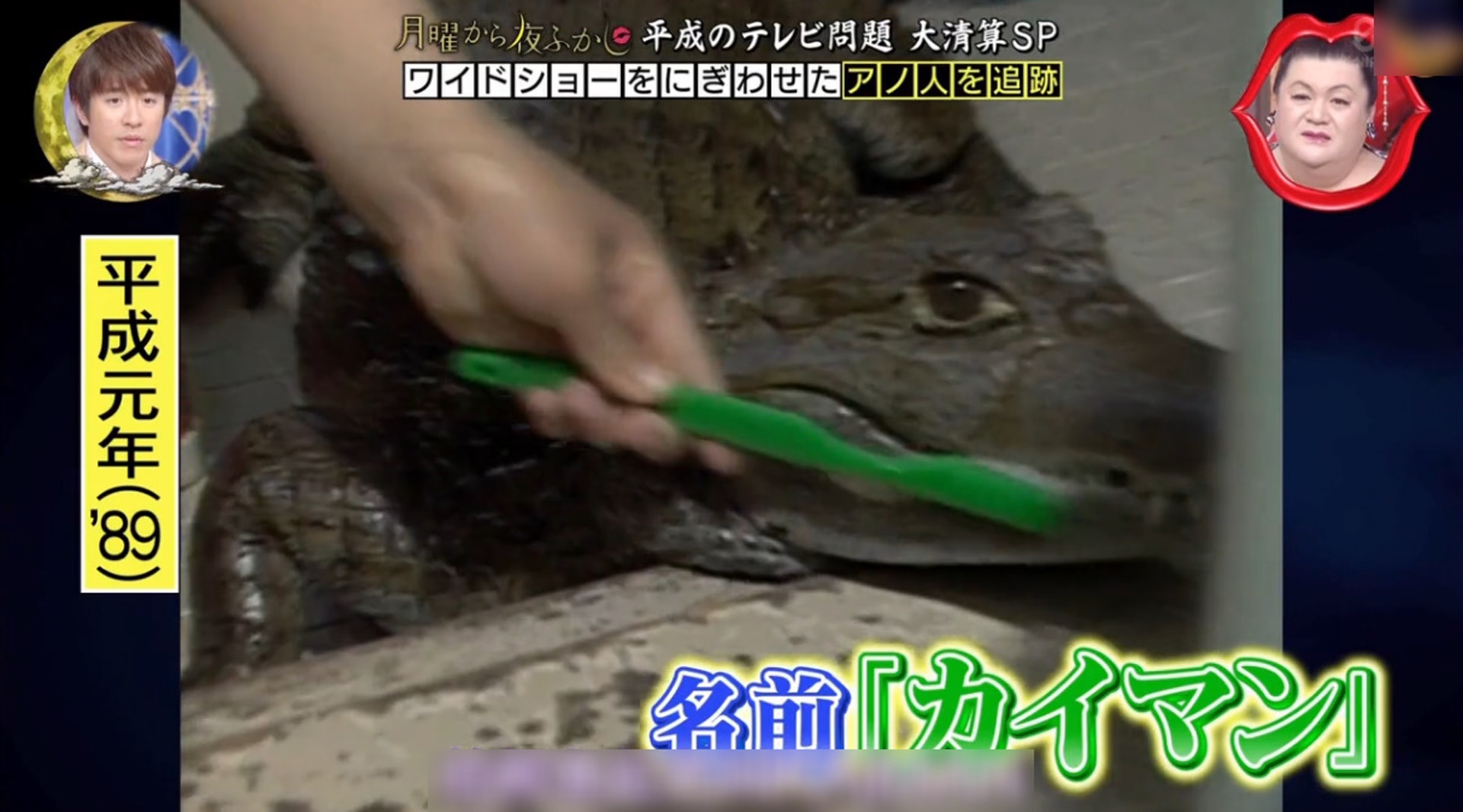同枕38年！日本阿伯「養2米鱷魚」陪伴　會撒嬌嬌、每天霸氣放風