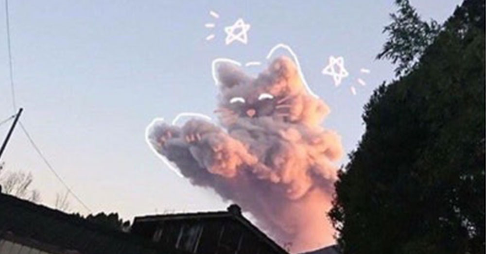 天空飄來一朵雲！　網友竟看到不同景色：是「狗狗」還是「貓咪」？
