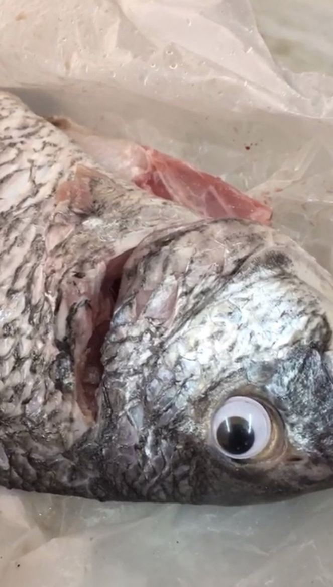 奸商貼上「塑膠假眼」冒充新鮮魚　廢到笑的爛招被網友酸爆：蠢斃了