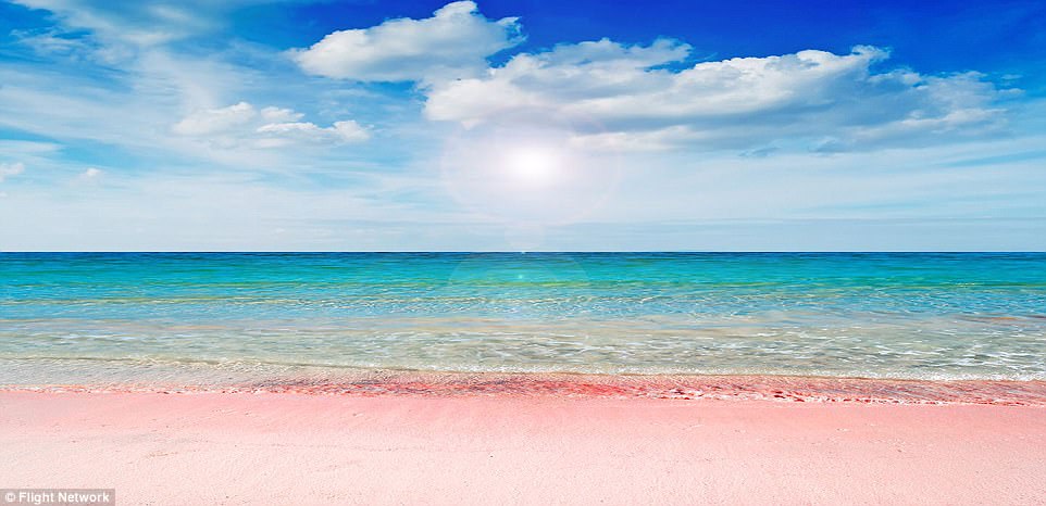完整紀錄「50個最靠近天堂的海灘」！　粉紅色的沙灘美到讓人窒息啊
