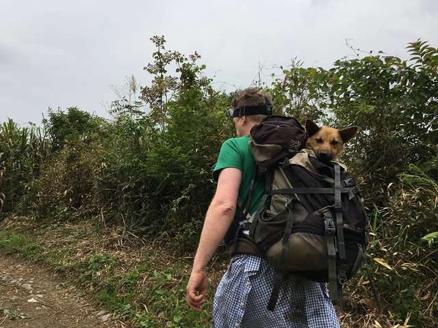 老外徒步12小時走進「台灣山區」救狗　最後成功救出受困許久的毛孩