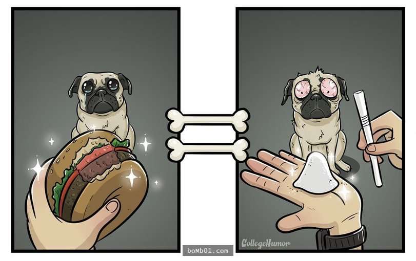 讓你秒懂「狗狗眼中世界」的7張插畫…原來我們都誤會牠們不聽話的原因了。