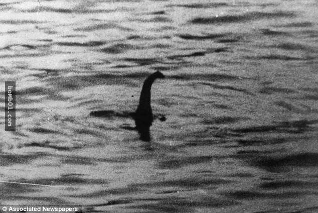 有人在湖邊發現「尼斯湖水怪的屍骨被沖上岸」，認為是惡作劇的人看了頭骨部分都不禁相信是真的啊！
