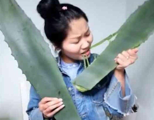 中國女直播主為了賺錢「生吃蘆薈」，結果才吃第三口她就被送到醫院連醫生也覺得瞎爆了！