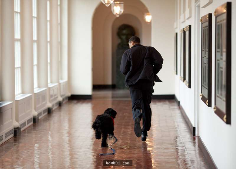 30張證明「為什麼歐巴馬是史上最棒總統」的照片。
