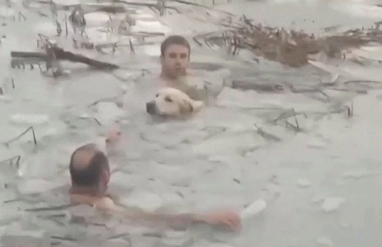 救你是我們的使命！西班牙警察獲報「狗狗受困冰湖」　竟「光上身」跳下水救援