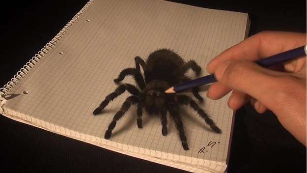 藝術家手繪3D蜘蛛嚇壞女兒　看到創作過程網友直呼不可思議