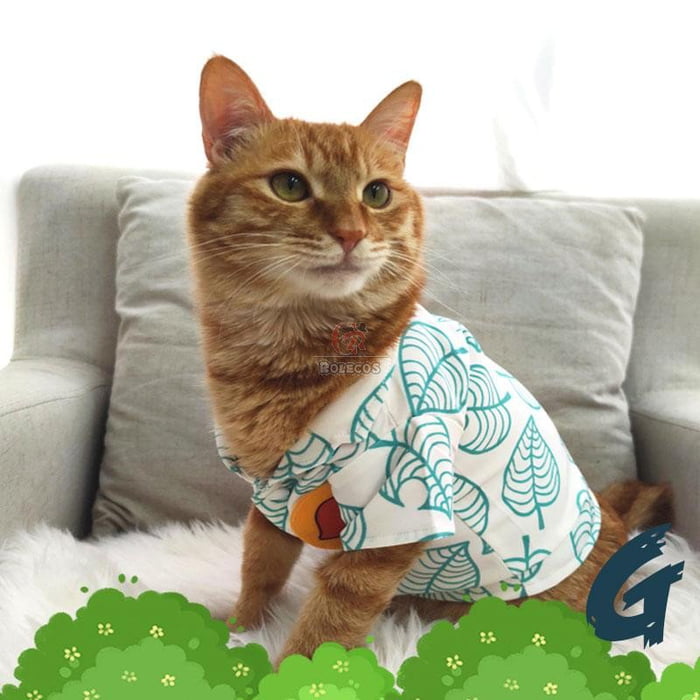 你家貓貓也能COS《動物森友會》了！　同款頭套、花襯衫「戴上秒變富豪貍克」