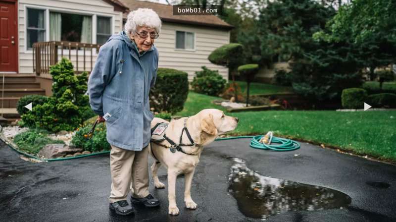 92歲阿嬤原本已經準備孤獨地等著死神到來，直到她遇到狗兒子…那畫面太催淚！
