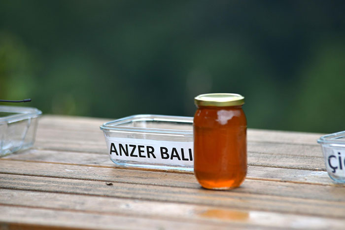 養蜂人「請熊當代言人」試吃自家產蜂蜜　效果好到產品一瓶賣近萬元