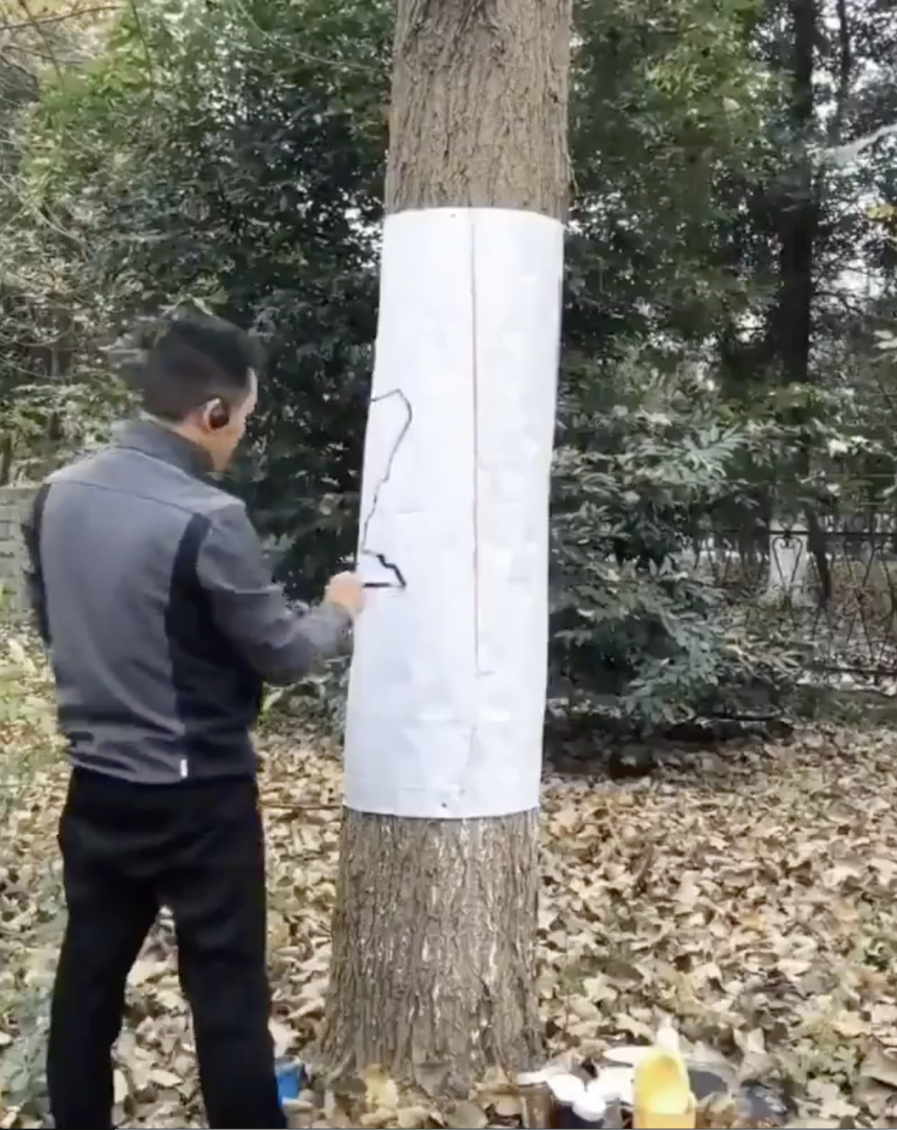 藝術家「樹上圍一圈紙」開始作畫　數分鐘後「木頭直接消失」網友全驚嘆：神乎其技！