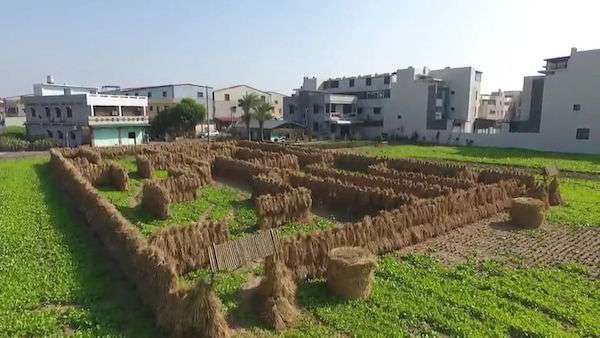 自打臉？環保局打造「稻草迷宮」宣導不燒稻草　活動一結束…4.5萬噸稻草都被燒光光