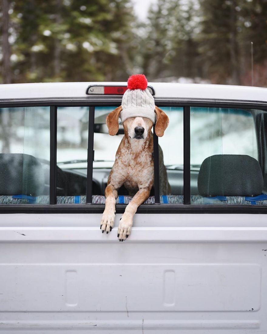 帶汪去旅行！　他拍下與狗狗的「療癒旅遊日常」：不管到哪裡，和你在一起就是幸福