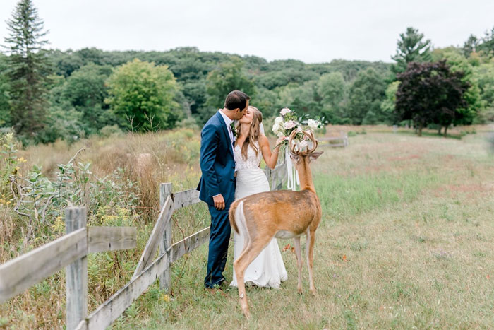 新人拍婚禮紀念照遇「亂鹿」　牠等不及搶新娘捧花：好吃好吃～